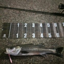 バイトミス多め💦