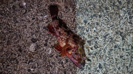 ちょっとでも、潮通しの良いところへ