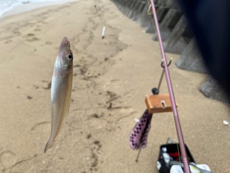 まだキスの接岸には早かったようです