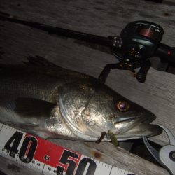 新しいリールで