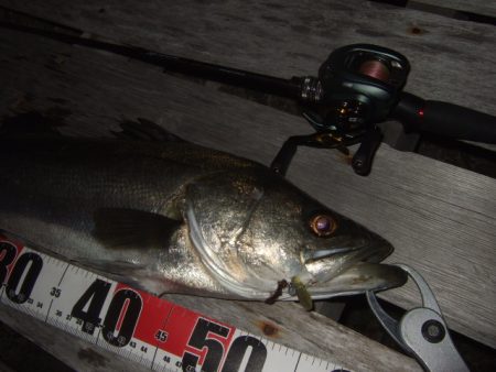 新しいリールで