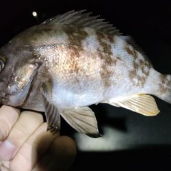 あたりぼちぼち