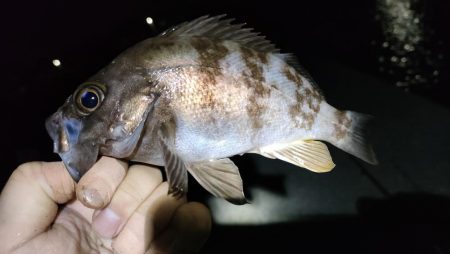 あたりぼちぼち