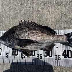 イチノ兄弟、釣果！