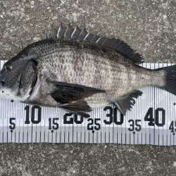 イチノ兄弟、釣果!