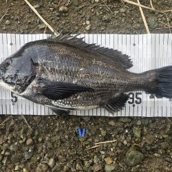 イチノ兄弟、釣果！