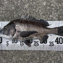 イチノ兄弟、釣果!