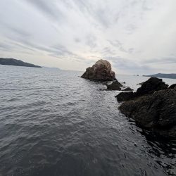 ショアプラッキング