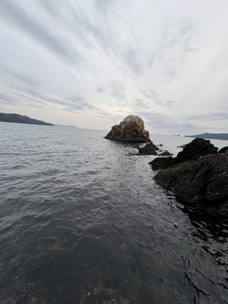 ショアプラッキング