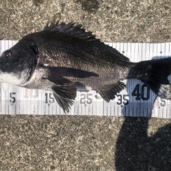 イチノ兄弟、釣果！