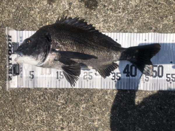 イチノ兄弟、釣果！