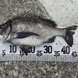 イチノ兄弟、釣果！