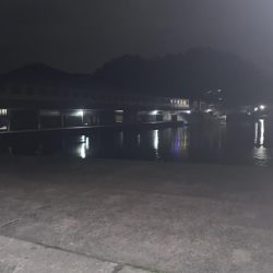 今年の初アジフライ