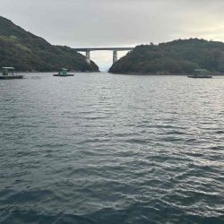 たかたかの釣り日記