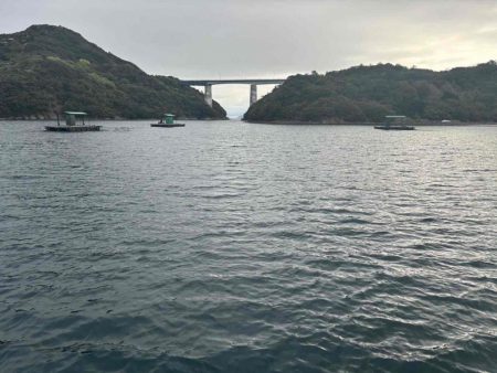 たかたかの釣り日記