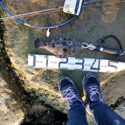 今月も釣れるとは…