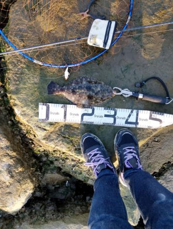 今月も釣れるとは…