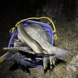 ★★アタリ連発・初ウナギもゲット★★