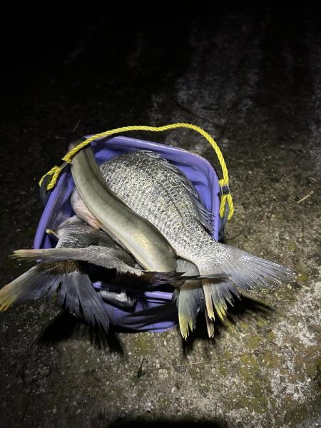 ★★アタリ連発・初ウナギもゲット★★