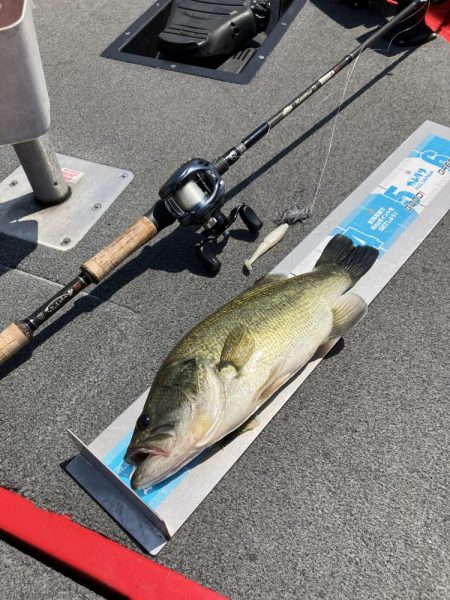 GW初日北山田55〜40cm 4発