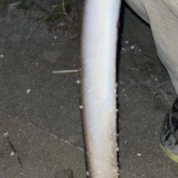 投げ釣りライト