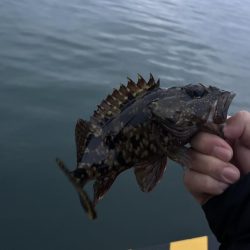 春のガッシー祭り2nd