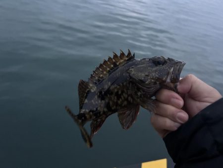 春のガッシー祭り2nd