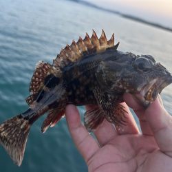 ガッシーに癒されず不満！