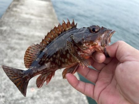 春のガッシー祭り3rd