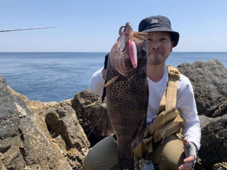 オオモンハタ×スプーン