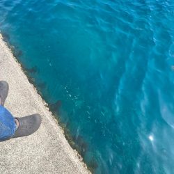 伊勢方面へアジング