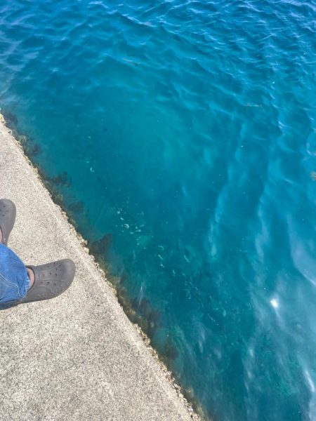 伊勢方面へアジング