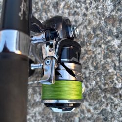 今日は活性が高かったです。