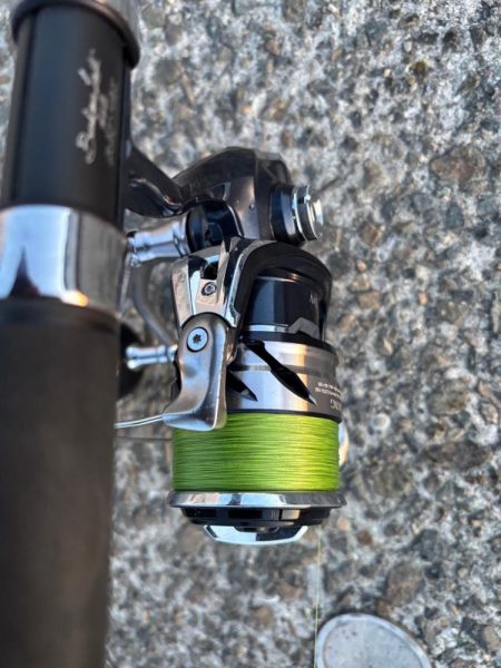 今日は活性が高かったです。