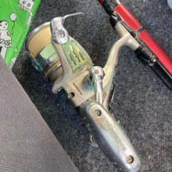 昼から遠投サビキでアジ11匹GET