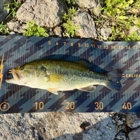 フリック牧場を満喫🌸