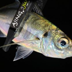 多少の雨なら行く！