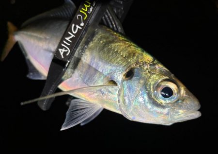 多少の雨なら行く！