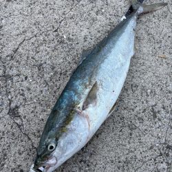 ショアプラッキング