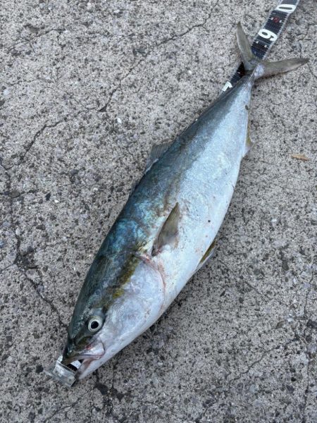 ショアプラッキング