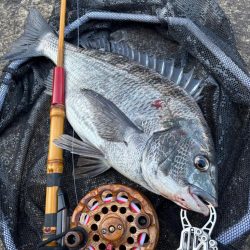 ヘチってきました