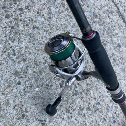 朝マズメのカマス釣りで19匹GET