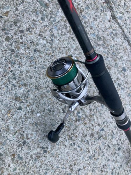 朝マズメのカマス釣りで19匹GET