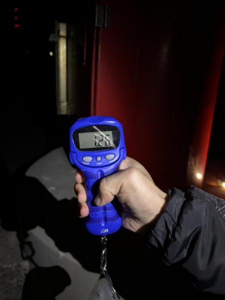 春エギング開幕