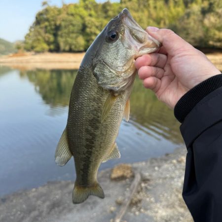 スポーン突入💦