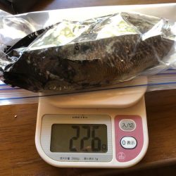 どちらも寒かった〜