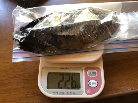 どちらも寒かった〜