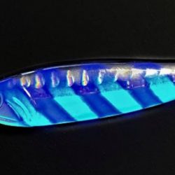 ライトショアジギング