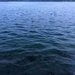 ポカポカ陽気に誘われて