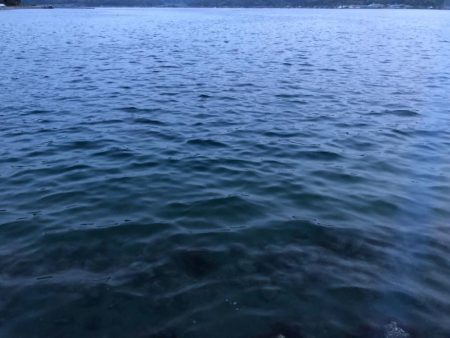 ポカポカ陽気に誘われて